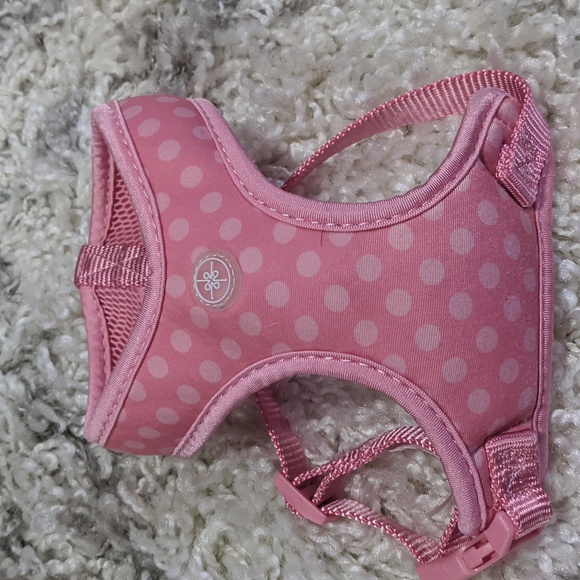 Two harnesses and one collar for puppies - Picture 2 of 4